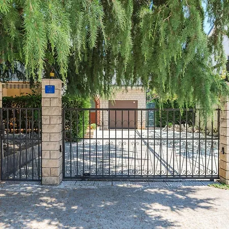 In Near Brijuni Islands